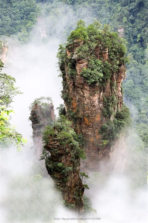 袁家界景点门票