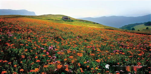 山西临汾旅游景怎么介绍