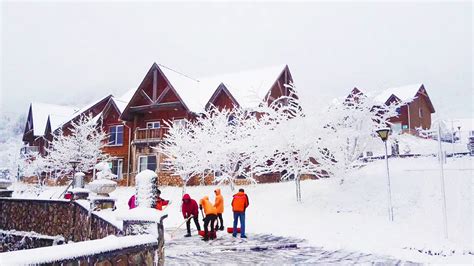 西岭雪山一日游攻略及费用