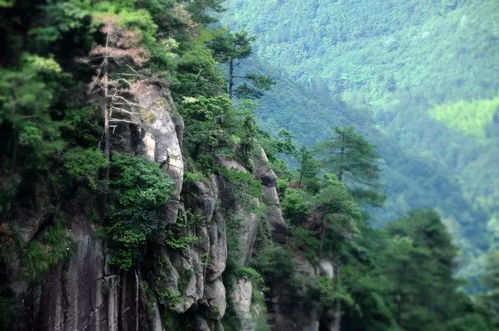 大明山景区旅游路线图