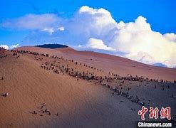 **
**【石家庄之旅多元精品线路，满足你的每一次期待】**

**