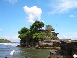 深度探索巴厘岛天旅游课程评价