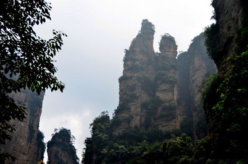 **“仙境张家界，探秘自然奇观”专业展览活动**

活动