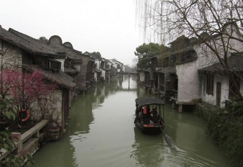 乌镇必去的三大景点