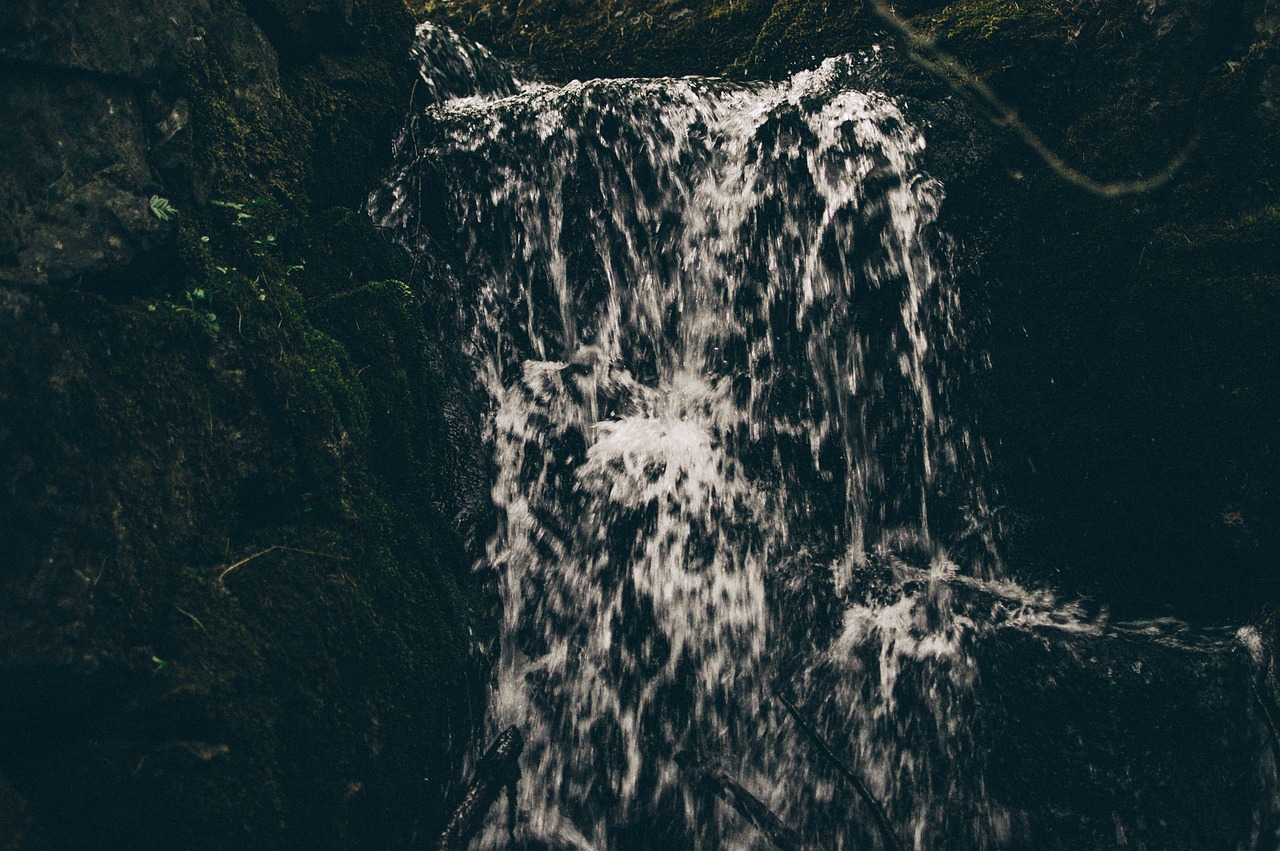 探索奇峰异石的张家界，让旅行变得更轻松——揭秘你的专属张家界旅游管家